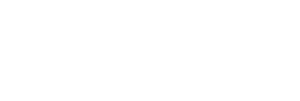 lesswork Voicebot logo